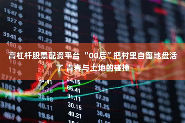 高杠杆股票配资平台 “00后”把村里自留地盘活了 青春与土地的碰撞